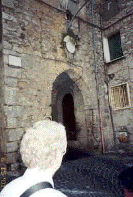 gate